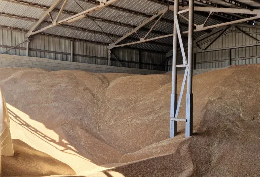 Строителство на складове за зърно в Генерал Тошево