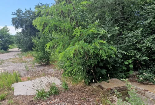 Строителство на бетонова ограда на детска градина в гр. Добрич