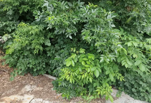 Строителство на бетонова ограда на детска градина в гр. Добрич