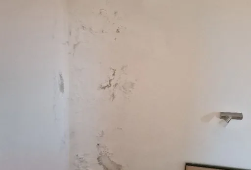 Строително-ремонтни работи на къща в с. Рогачево, Балчик