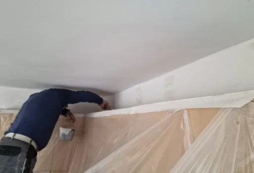 Construction and repair works of a house near Dobrich and General Toshevo