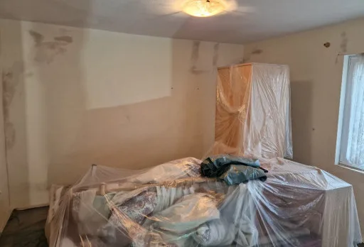 Construction and repair works of a house near Dobrich and General Toshevo