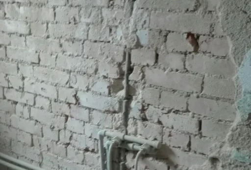 Building and repair works of a house near Albena