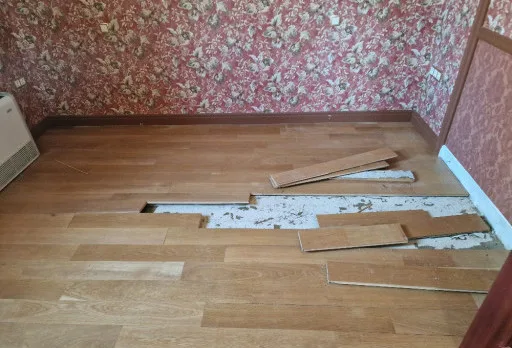 Hausrenovierung in Varna