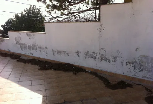 Repair of a perimeter wall and a house in Albena