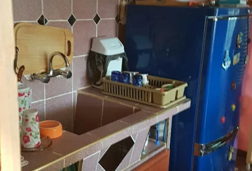 Reparaturarbeiten an einem Haus in Dobrich