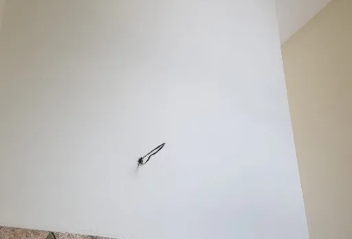 Строителство, реконструкция и ремонт на къща до Албена