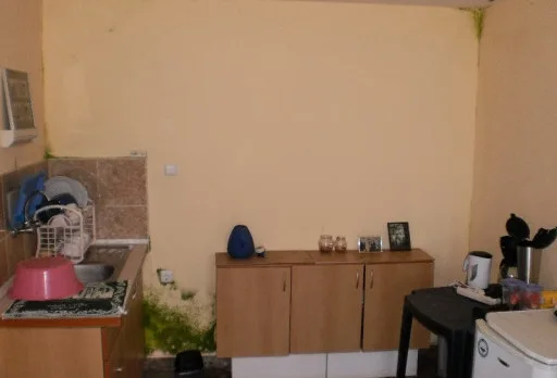 Строително-ремонтни работи по вила до Балчик