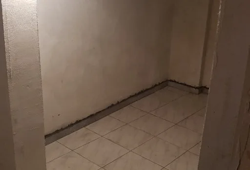 Renovierung eines Hauses im Raum Varna