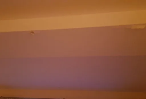 Innenanstrich und Reparaturarbeiten in einer Villa in Balchik