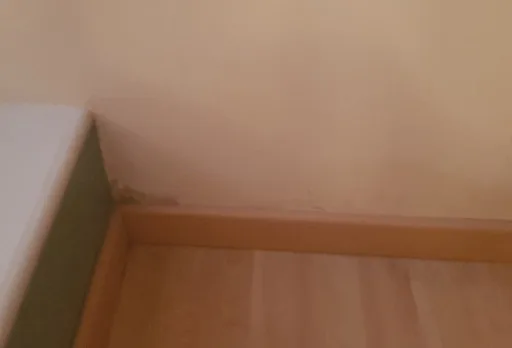 Innenanstrich und Reparaturarbeiten in einer Villa in Balchik