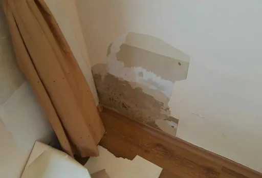 Installation of wallpapers in apartment in Golden sands