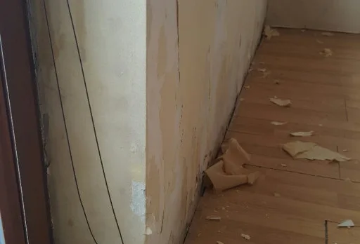 Installation of wallpapers in apartment in Golden sands