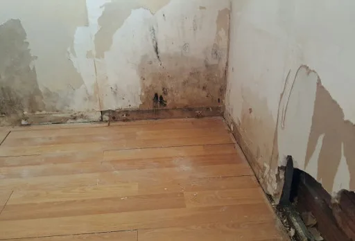 Installation of wallpapers in apartment in Golden sands