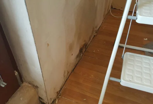 Installation of wallpapers in apartment in Golden sands