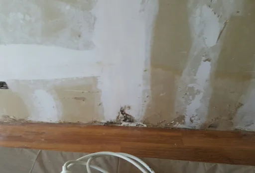 Installation of wallpapers in apartment in Golden sands