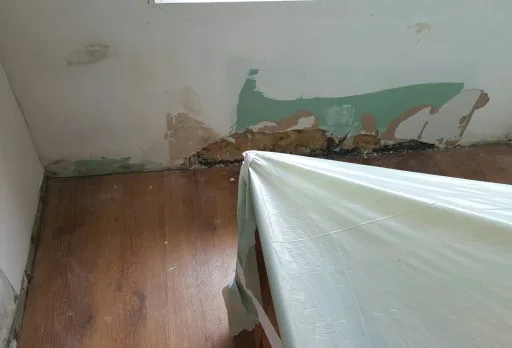 Installation of wallpapers in apartment in Golden sands