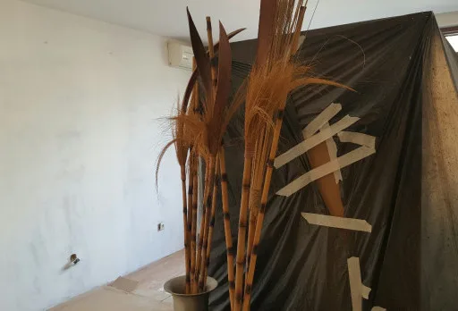 Installation of wallpapers in apartment in Golden sands