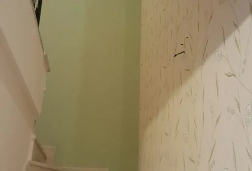 Installation of wallpapers in apartment in Golden sands