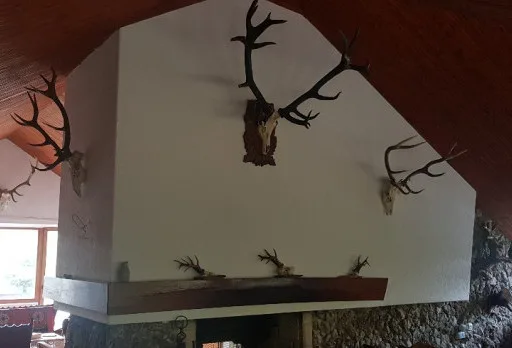 Wiederaufbau und Erweiterung einer Hütte bei Albena