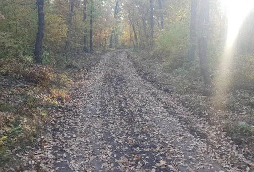 Направа на път от трошен камък и бетонно корито до с. Батово