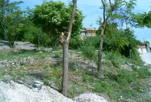 Строителство на къща в Балчик, с. Рогачево