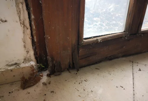 Construction and repair works and patio building of a house near Varna