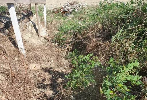 Building a staircase and decking to the beach near Varna