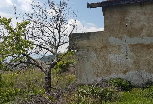 Модерна вила с плосък покрив в Балчик