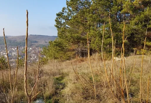 Модерна вила с плосък покрив в Балчик