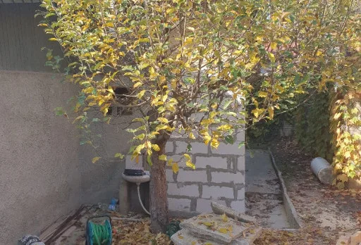 Renovierung eines Hauses in der Nähe von Balchik