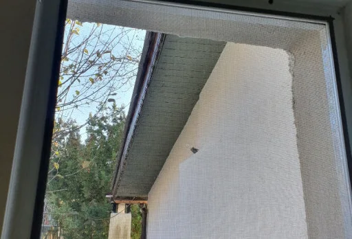 Renovierung eines Hauses in der Nähe von Balchik