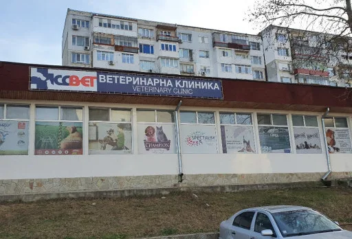 Строителство и ремонтни работи на ветеринарна клиника в гр. Добрич