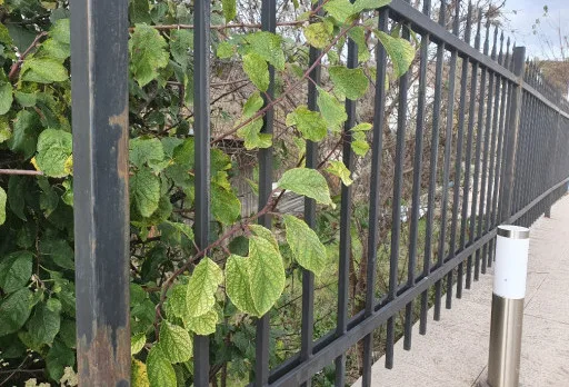 Consrtuction and repair works of a villa in Albena area