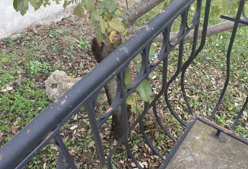 Consrtuction and repair works of a villa in Albena area