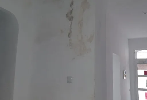 Renovierung von Geschäften und Büros in einem historischen Haus in Dobrich