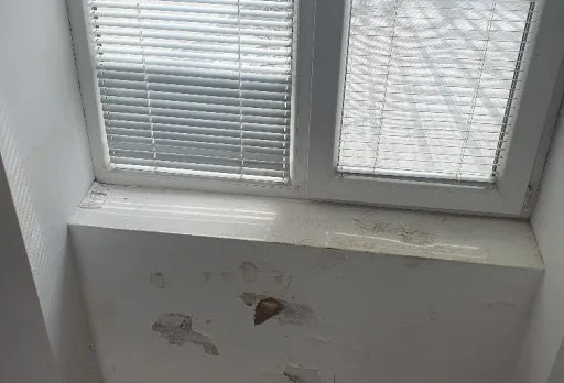 Renovierung von Geschäften und Büros in einem historischen Haus in Dobrich