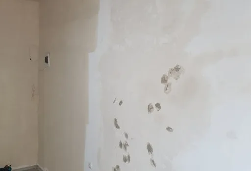 Renovierung von Geschäften und Büros in einem historischen Haus in Dobrich