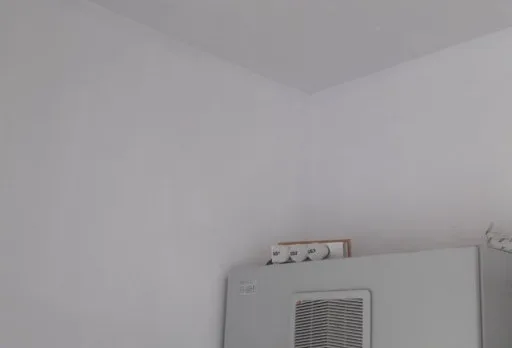 Ремонтни работи и иконостас в мелница в Генерал Тошево, Добрич