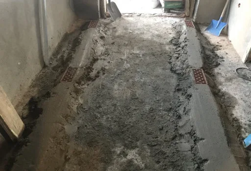 Renovierung eines Hauses im Gebiet Shabla