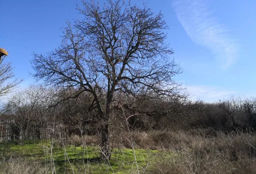 Reparatur- und Landschaftsbauarbeiten in der Nähe von Kavarna