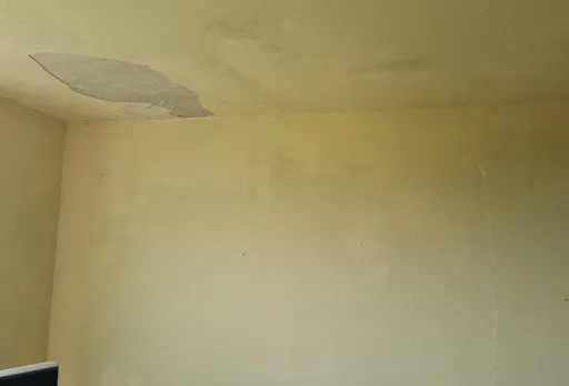 Innenausbesserungsarbeiten und Fassadenanstrich eines Hauses in Varna