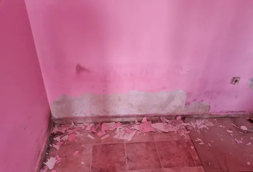 Innenausbesserungsarbeiten und Fassadenanstrich eines Hauses in Varna