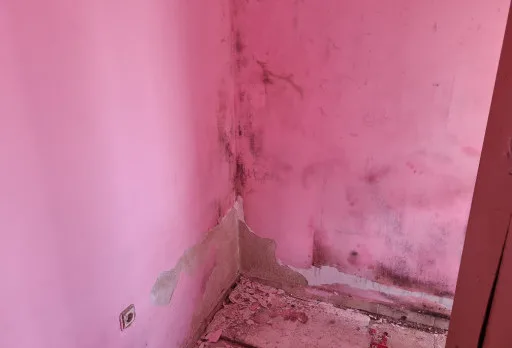 Innenausbesserungsarbeiten und Fassadenanstrich eines Hauses in Varna