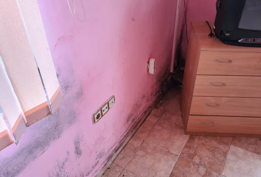Innenausbesserungsarbeiten und Fassadenanstrich eines Hauses in Varna