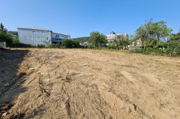 Clearing a plot of land in Varna